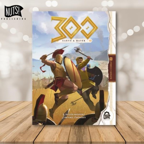 Visuel du projet 300