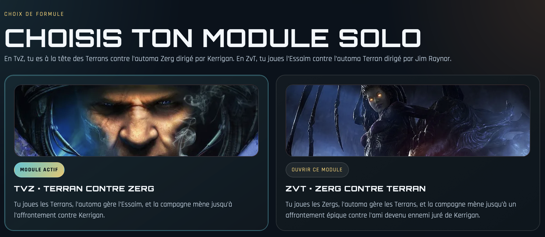 Visuel du projet StarCraft solo fan-made en français